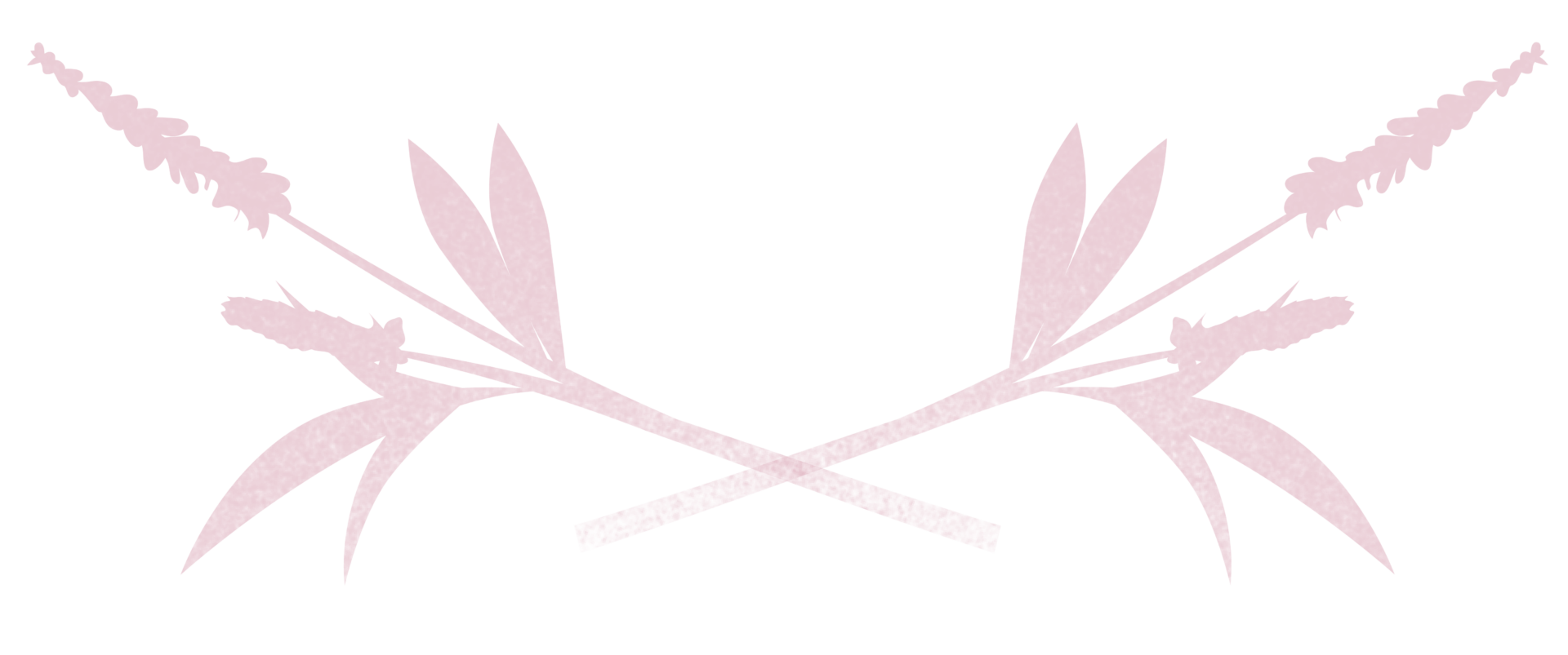 Créa Web 2