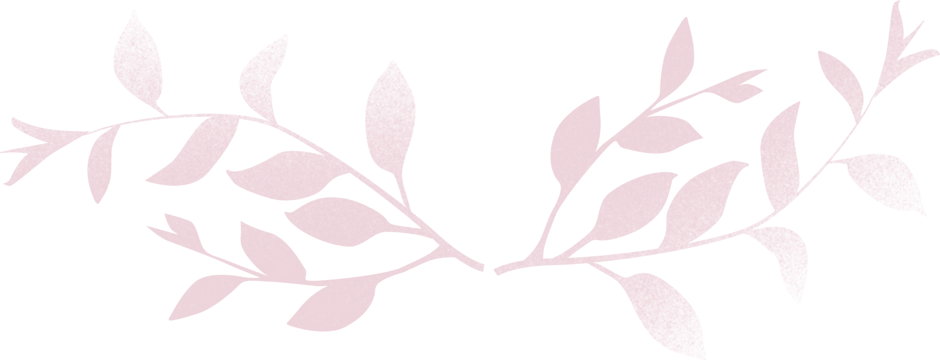 Créa Web 4