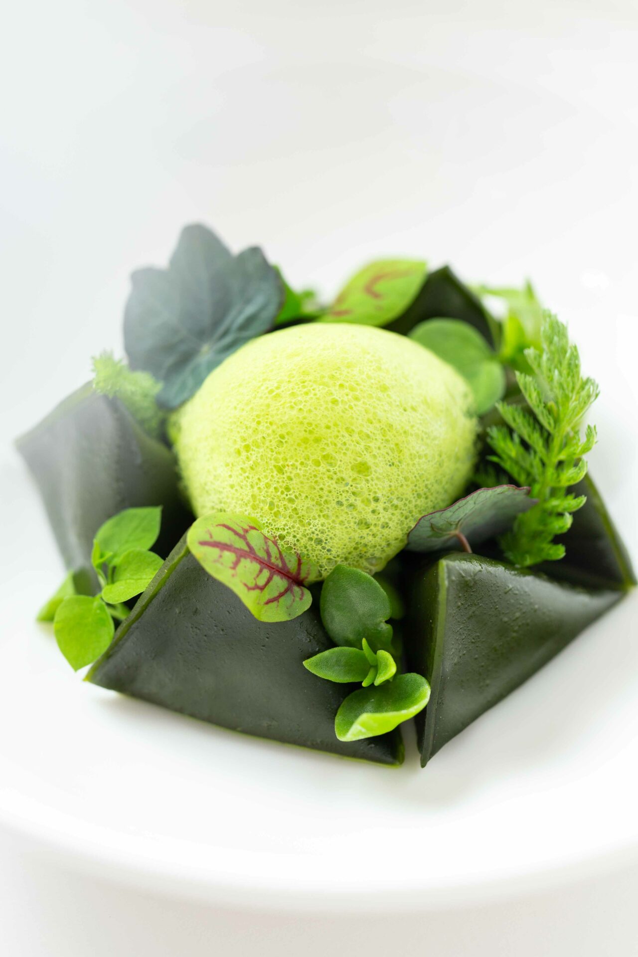 Verdeur fondante Banon matcha fennel dill