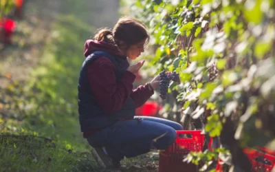 Les vignobles italiens à l’honneur à La Dame de Pic Paris