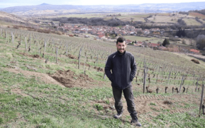 Exploration au Cœur des Vins d’Auvergne : dîner d’exception avec Henri Chauvet à La Dame de Pic Paris