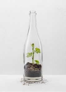 biodiversity_tall-box_7
