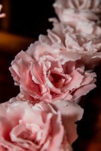 202402-HD-Restaurant_La_Dame_de_Pic_Paris-detail_salle-©groupePIC-7