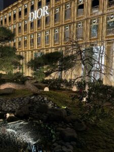 WhatsApp Image 2026-02-11 at 13.50.15 (1)