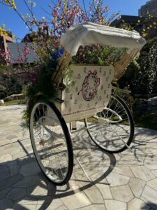 WhatsApp Image 2026-02-11 at 13.50.15 (8)